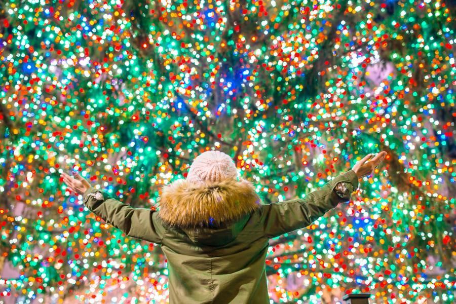 5 Ways to Curb Energy Use During the Holidays