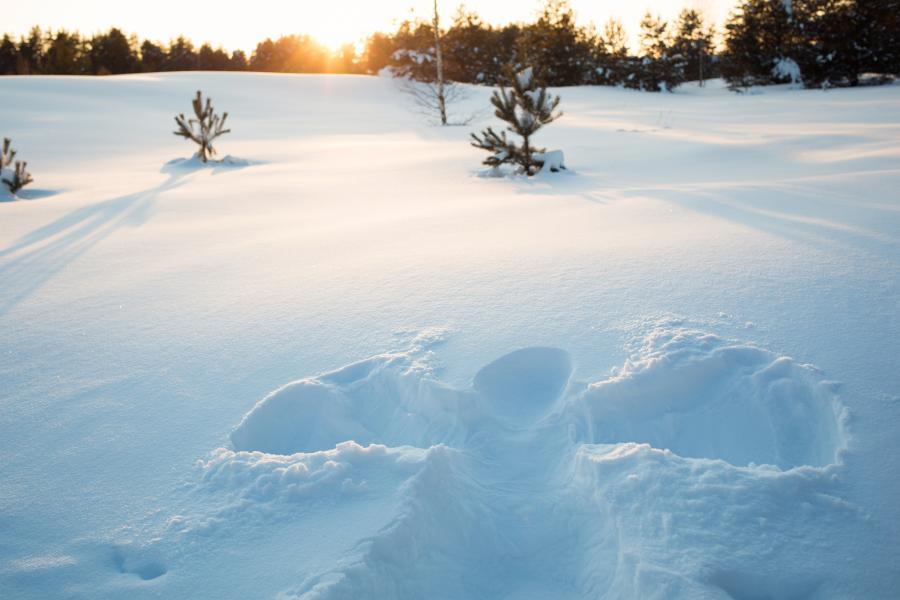 Will it be a snowy Alabama Winter? 